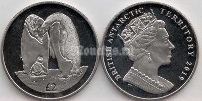 монета Британские антарктические территории 2 фунта 2019 год - Императорский пингвин