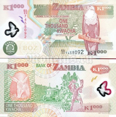 банкнота Замбия 1000 квачей 2011 год пластик