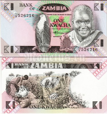 банкнота Замбия 1 квача 1986-88 год