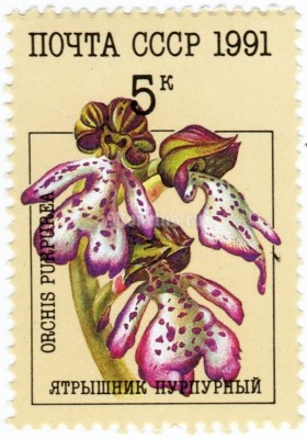 марка СССР 5 копеек "Ятрышник пурпурный" 1991 год