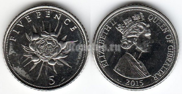 монета Гибралтар 5 пенсов 2015 год