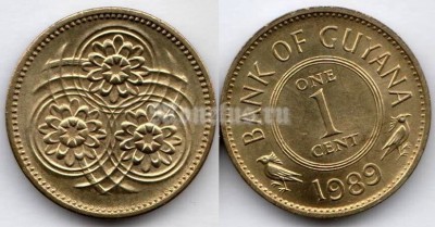 монета Гайана 1 цент 1989 год