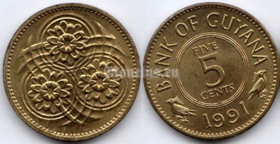 монета Гайана 5 центов 1991 год