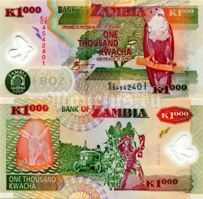 банкнота Замбия 1000 квача 2008 год, пластик