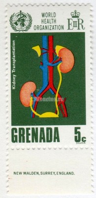 марка Гренада 5 центов "Kidney Transplantation" 1968 год