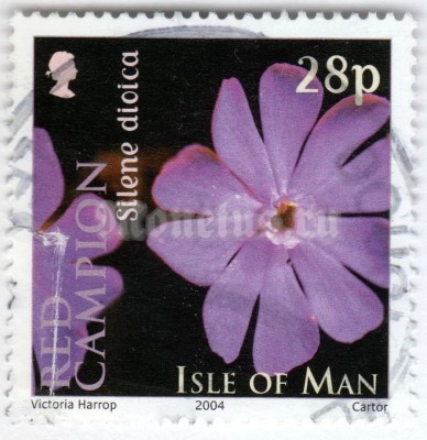 марка Остров Мэн 28 пенни "Silene dioica" 2004 год Гашение