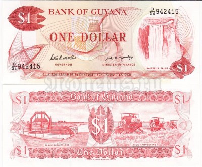 бона Гайана 1 доллар 1989 год