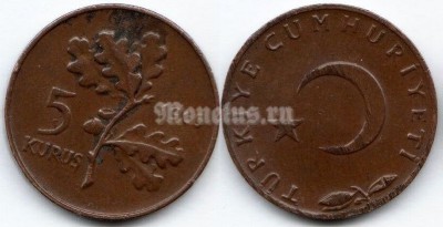 монета Турция 5 курушей 1965 год