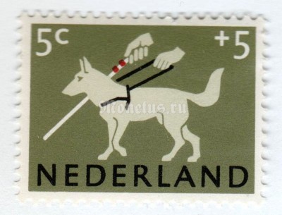 марка Нидерланды 5+5 центов "German Shepherd (Canis lupus familiaris) as Guide Dog" 1964 год