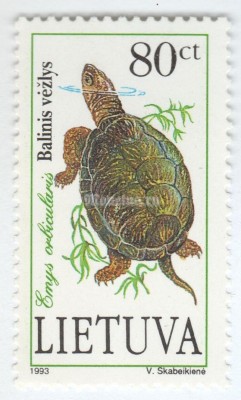 марка Литва 80 центес "European Pond Turtle (Emys orbicularis)" 1993 год