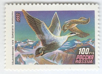 марка Россия 100 рублей "Обыкновенная Гага" 1993 год
