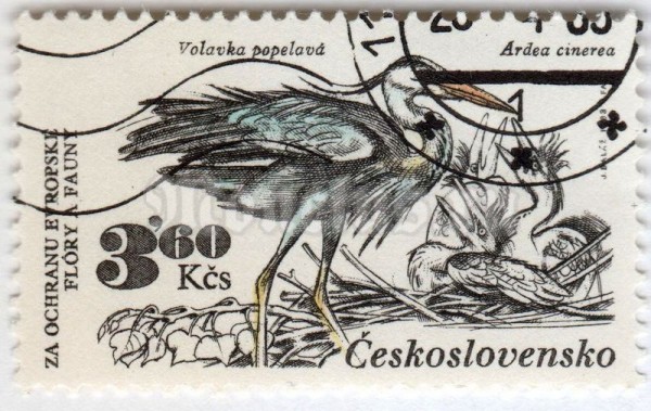 марка Чехословакия 3,60 кроны "Grey Heron (Ardea cinerea)" 1983 год Гашение