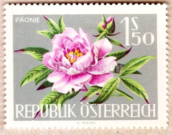 марка Австрия 1,50 Австрийский шиллинг "Пеония оффициналис" 1964 год