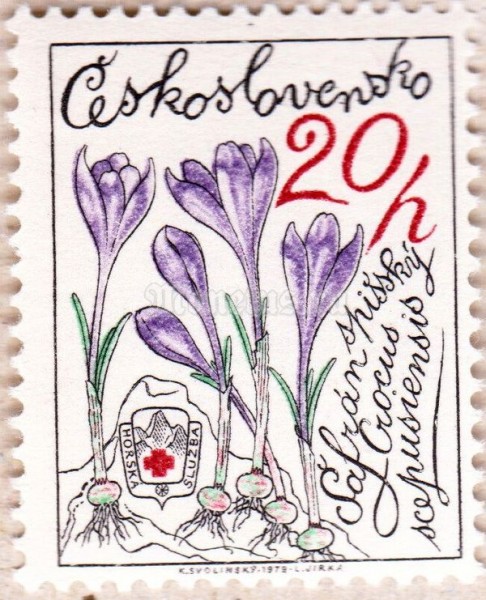 марка Чехословакия 20 геллер "Крокус scepusiensis" 1979 год