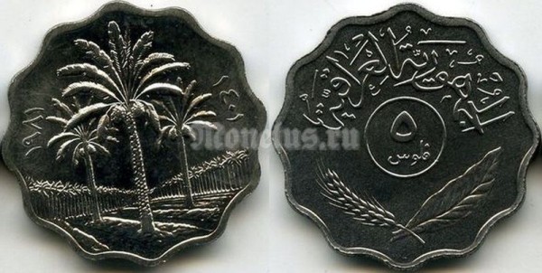 монета Ирак 5 филс 1981 год