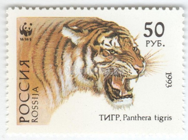 марка Россия 50 рублей "Тигр" 1993 год