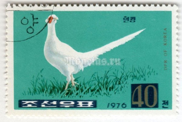 марка Северная Корея 40 чон "White Ring-necked Pheasant (Phasianus colchicus)" 1976 год Гашение