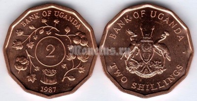 монета Уганда 2 шиллинга 1987 год