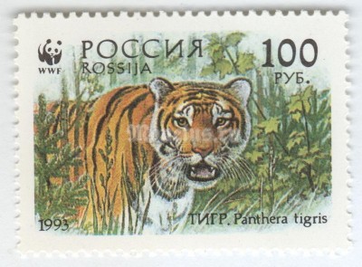 марка Россия 100 рублей "Тигр" 1993 год