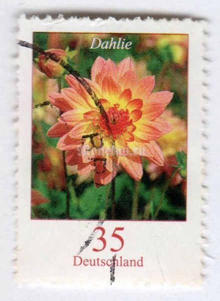 марка ФРГ 35 центов "Dahlia variabilis - Dahlia" 2005 год Гашение