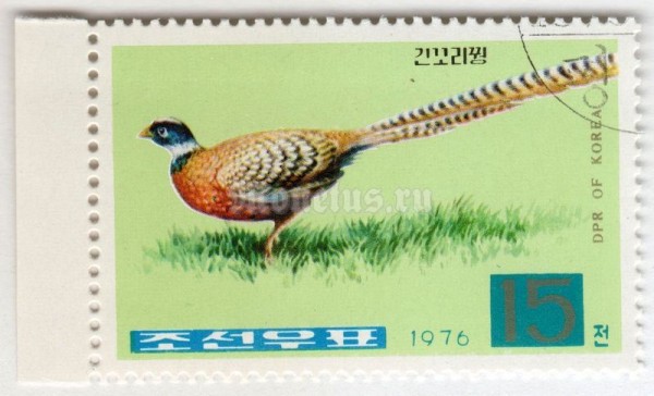 марка Северная Корея 15 чон "Reeves's Pheasant (Symaticus reevesii)" 1976 год Гашение