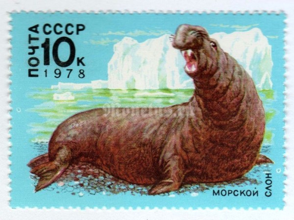 марка СССР 10 копеек "Морской слон" 1978 года