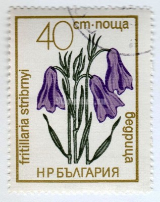 марка Болгария 40 стотинок "Fritillaria stribrnyi" 1972 год Гашение