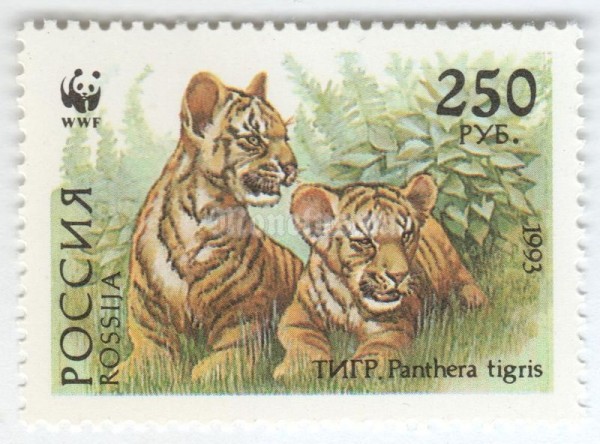 марка Россия 250 рублей "Тигр" 1993 год