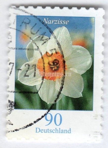 марка ФРГ 90 центов "Narcissus poeticus - Narcissus" 2005 год Гашение