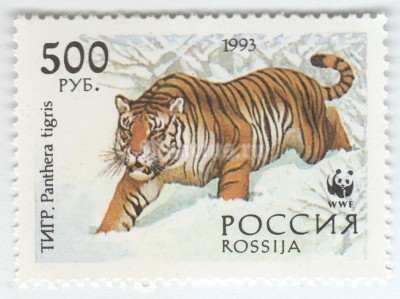 марка Россия 500 рублей "Тигр" 1993 год