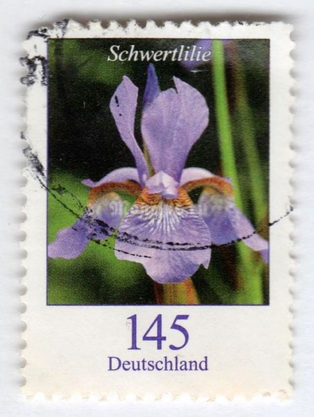 марка ФРГ 145 центов "Iris xiphium - Sword Lily" 2005 год Гашение
