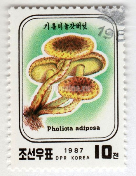 марка Северная Корея 10 чон "Pholiota adiposa" 1987 год Гашение