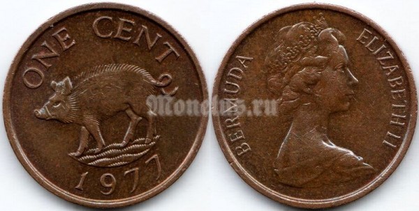 монета Бермуды 1 цент 1977 год
