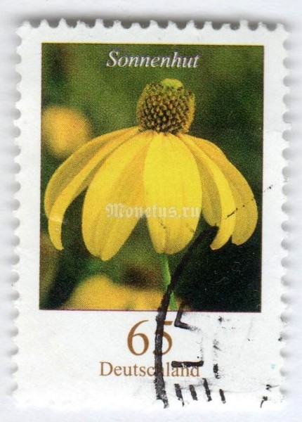 марка ФРГ 65 центов "Rudbeckia fulgida - Coneflower" 2005 год Гашение
