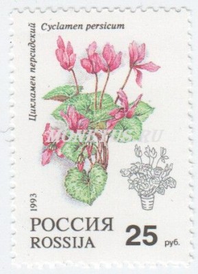 марка Россия 25 рублей "Цикламен персидский" 1993 год