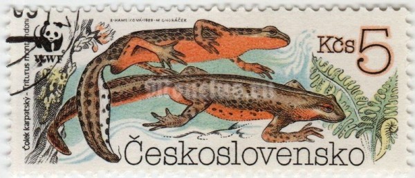 марка Чехословакия 5 крон "Alpine Newt (Triturus alpestris)" 1989 год гашение