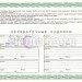 Сертификат Татарстан на 15 простых именных акций АО Булгур-Капитал