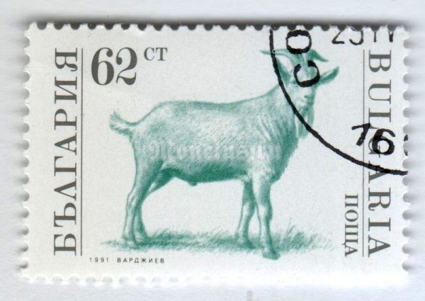 марка Болгария 62 стотинки "Goat (Capra hircus)" 1991 год Гашение