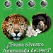 Альбом для 10-ти монет Перу 1 новый соль 2017 - 2020 гг. серии Фауна Перу