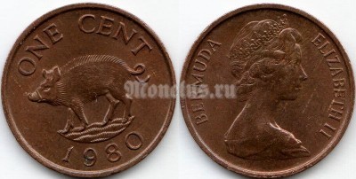 монета Бермуды 1 цент 1980 год