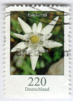 марка ФРГ 220 центов "Leontopodium nivale - Edelweiss" 2005 год Гашение