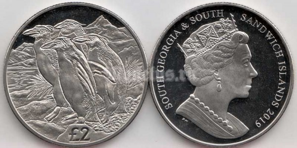 монета Сандвичевы острова 2 фунта 2019 год - Золотоволосый пингвин