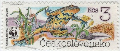 марка Чехословакия 3 кроны "Yellow-bellied Toad (Bombina variegata)" 1989 год гашение