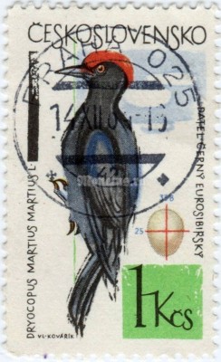 марка Чехословакия 1 крона "Black Woodpecker (Dryocopus martius)" 1964 год гашение