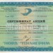 Россия Сертификат акций АООТ Норд Пилигрим-инвест
