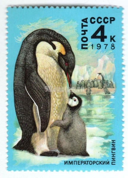 марка СССР 4 копейки "Королевский пингвин" 1978 года