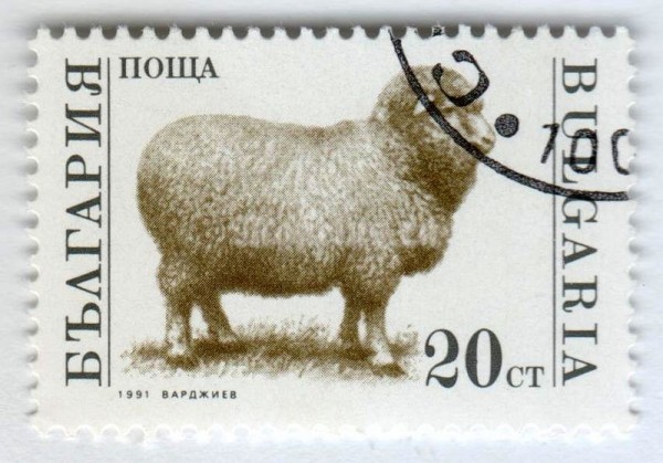 марка Болгария 20 стотинок "Domestic Sheep (Ovis ammon aries)" 1991 год Гашение