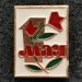 Значок 1 мая (тип 3)