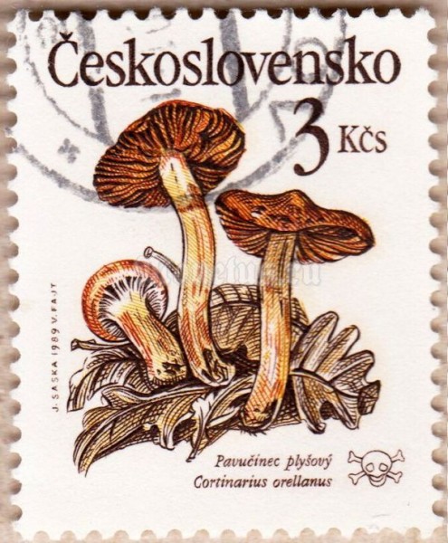 марка Чехословакия 3 кроны "Паутинник горный" 1989 год