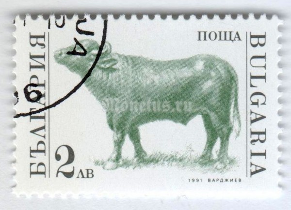марка Болгария 2 лева "Bull (Bos primigenius taurus)" 1991 год Гашение